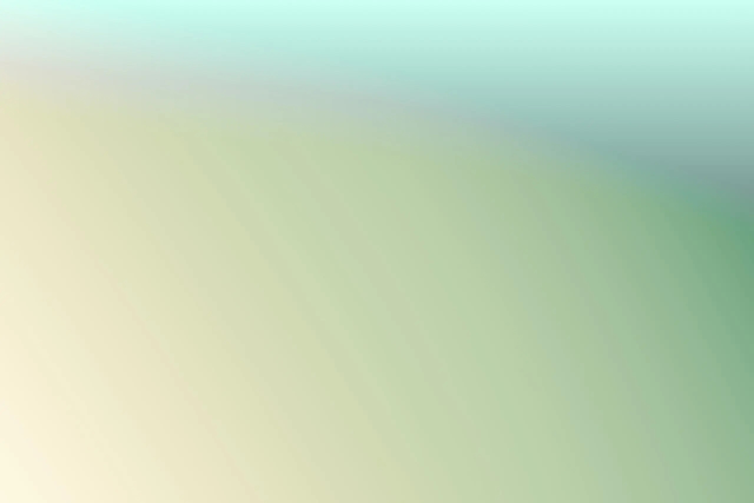 Reiki-Lehrerausbildung